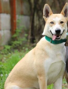 ROCKY - so können wir den Tag gestalten - Overath