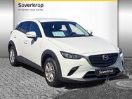 Mazda CX-3, 1.8 115 Center-Line, Jahr 2019 - Flensburg