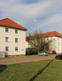 wir renovieren+++ 2-Raum Wohnung frei - Torgau