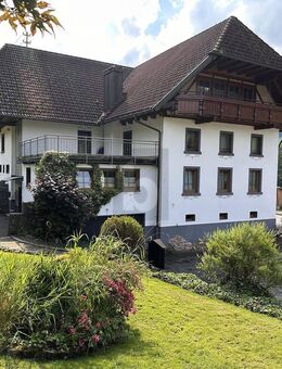 HISTORISCHES HAUS MIT EIGENER WASSERQUELLE - Elzach