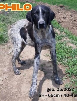 Philo - Team Aliz - Rinteln