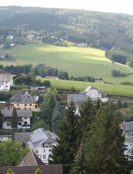 Dachgeschoss-Wohnung nur 3 km vom Tourismusmagnet Willingen-Upland - Willingen (Upland)