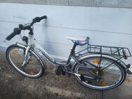 Fahrrad Winora 24 Zoll - Besigheim