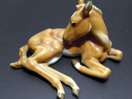 Hutschenreuther Fohlen Achtziger Porzellan Pferd 8192 Statuette Horse Cheval TOP - Fürth