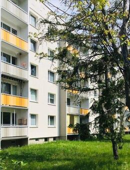 Neue Mieter gesucht! Scöne 3-Raumwohnung mit sonnigem Balkon und Einbauküche! - Dresden