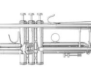 B&S Challenger Profiklasse - Trompete 3137 G - S, Sonderanfertigung, Neuware - Hagenburg