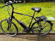 Herren E-Bike Pegasus Premio E8 F ( Freilauf ) 61 cm Rahmen - Bottrop