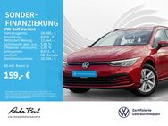 VW Golf Variant, 2.0 TDI Golf VIII Digital EPH, Jahr 2020 - Limburg (Lahn)