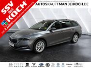 Skoda Octavia, 2.0 TDI Combi Style TOP, Jahr 2024 - Berlin