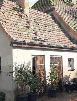 *Doppelhaushälfte auf großem Grundstück!* - Fehrbellin