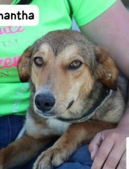 Samantha kleine Entdeckerin mit ... - Kissing