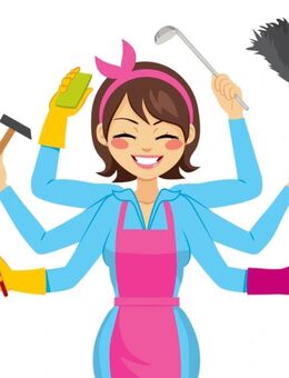 Grundreinigung Magdeburg + 50Km - Magdeburg