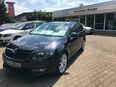 Skoda Octavia Combi 1,4 TSI Joy DSG Navi, Allwetter, ACC, ... in 03172