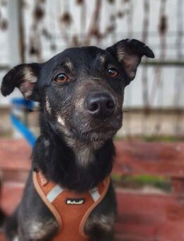 Wer verliebt sich in Karamell ? - München