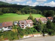 Wunderschöne DHH mit traumhaftem Ausblick über Bad Säckingen zu verkaufen! - Bad Säckingen