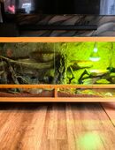 Terrarium für 3 Leoparden Geckos in 57629