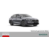 Skoda Octavia, 2.0 TDI Combi Tour, Jahr 2024 - Melle