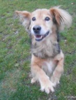 BATIDO - Schmerz gegen Liebe tauschen - Overath