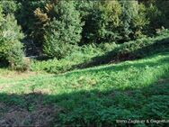 Toller Bauplatz in Deggendorf / Deggenau mit Sonne und Fernblick - zum Zugreifen***** - Deggendorf