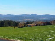 Mit der Natur auf Du und Du! Idyllisch gelegener Bungalow, südöstlich der Stadt Viechtach, Bay.Wald - Patersdorf