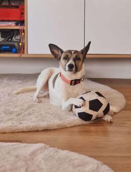 BORI ❤️ - Langenhagen