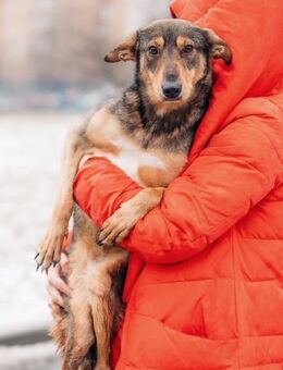 Besondere Miranda sucht ihre Menschen - Duisburg