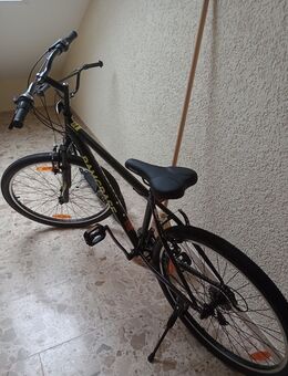 Fahrrad zuverkaufen - Baltmannsweiler