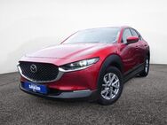 Mazda CX-30, 150 M Hybrid Selection, Jahr 2021 - Ulm