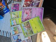 Pokemon Karten - Oranienburg