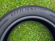 Goodyear EfficientGrip Performance 215/55 R17 94 V, Sommerreifen - Fuldatal