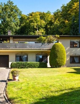 Leben am Waldrand - Siegburg