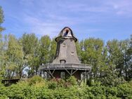 außergewöhnliche Mühle, Reetdach Ferienhaus, 8 Km vor St. Peter Ording - Garding Zentrum