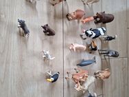 20 verschiedene Schleich Tiere , neuwertig ein ganzer Zoo - Dresden