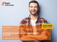 Ausbildung Fachkraft für Lagerlogistik (m/w/d) - Biebesheim (Rhein)