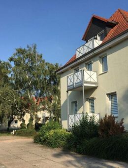 Rein ins frisch renovierte Glück: 2-Zimmer-Wohnung mit Balkon - Wanzleben-Börde