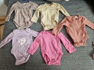 Mädchen BabyKleidung 50/56 3.0 - Gelsenkirchen Resse