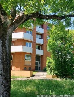 Viel Platz für eine Familie - Helle Wohnung in der beliebten Nordweststadt - Karlsruhe