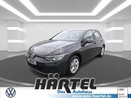 VW Golf, 1.0 TSI 8 LIFE OPF ( RADAR, Jahr 2021 - Osnabrück