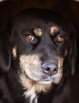 Junge Aimi sucht ihr großes Glück - Hamburg