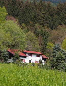 Ferienhaus im Bayerischen Wald - Traumlage - nicht weit zur Donau - Bernried