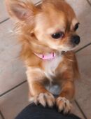 Müssen uns leider trennen in 01662