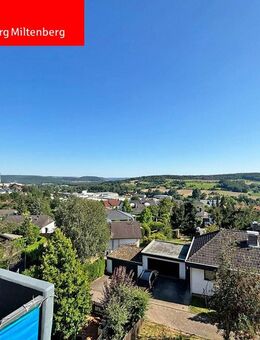 Top Aussicht über den Dächern Obernburgs - Obernburg (Main)