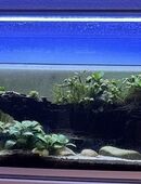 Aquarium Lighting LD2-90cm twin full Spektrum ohne Netzteil in 27283