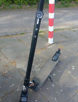 Escooter Maginon street one - Bochum