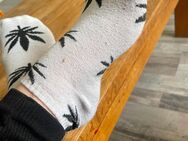 Socken mit Geilem Duft - Zweibrücken