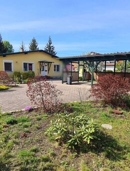 Charmantes Haus im Bungalow-Stil mit großem Grundstück sucht neue Besitzer - Lübben (Spreewald)