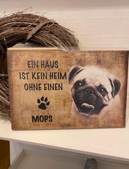 HOLZSCHILD MOPS - Hagen (Teutoburger Wald)