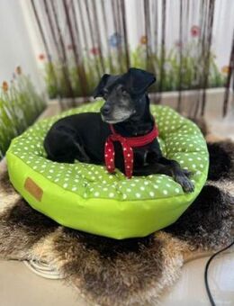 Yulija - Pechvogel des Monats - Berlin