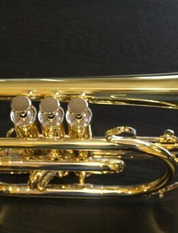 Besson New Standard B - Kornett inkl. Koffer und Mundstück, Neuware - Hagenburg