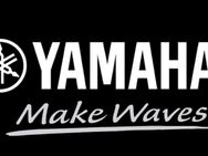 Yamaha Stage custom komplett Set mit Paiste Signatur Cymbals& einer Ludwig Black Magic Snare - Lützelbach
